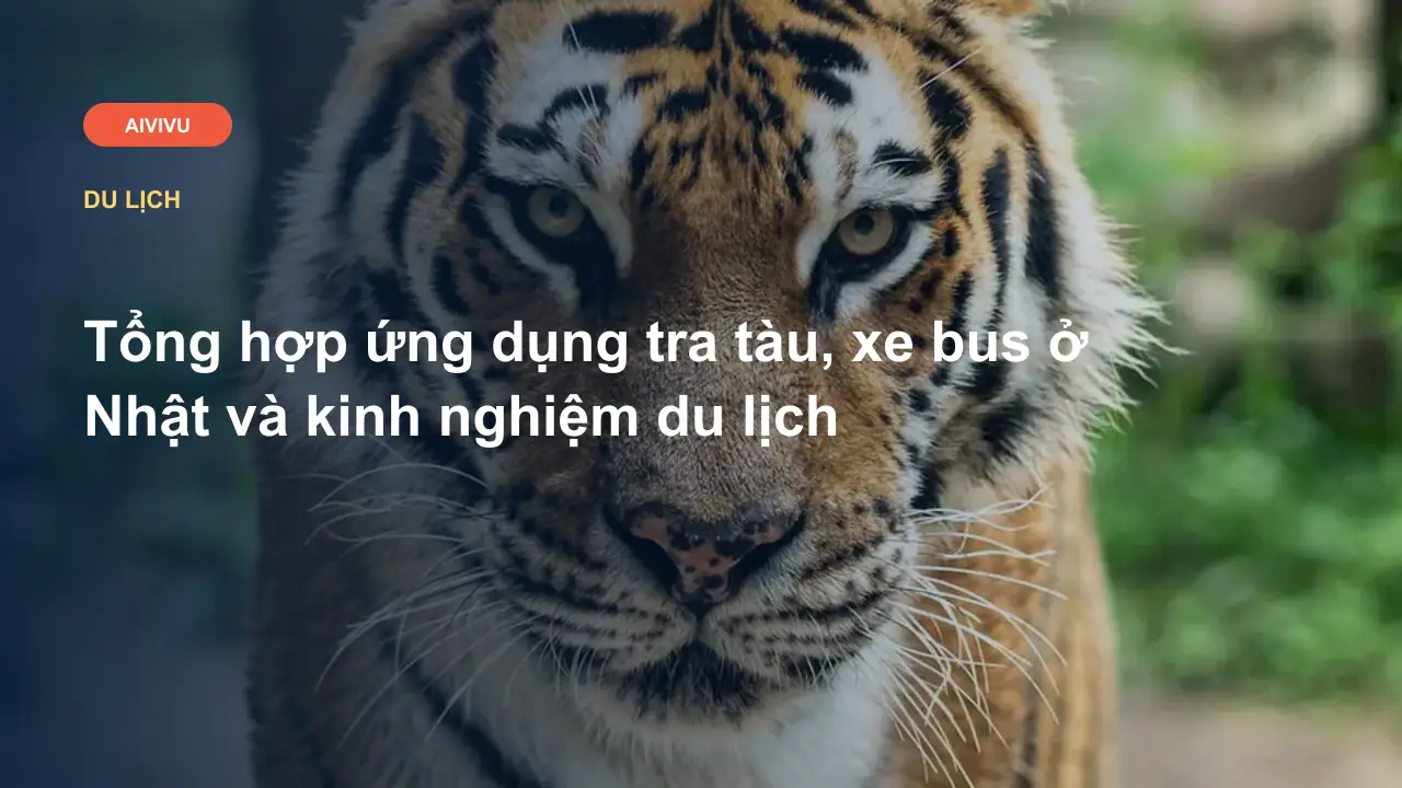 Tổng hợp ứng dụng tra tàu, xe bus ở Nhật và kinh nghiệm du lịch